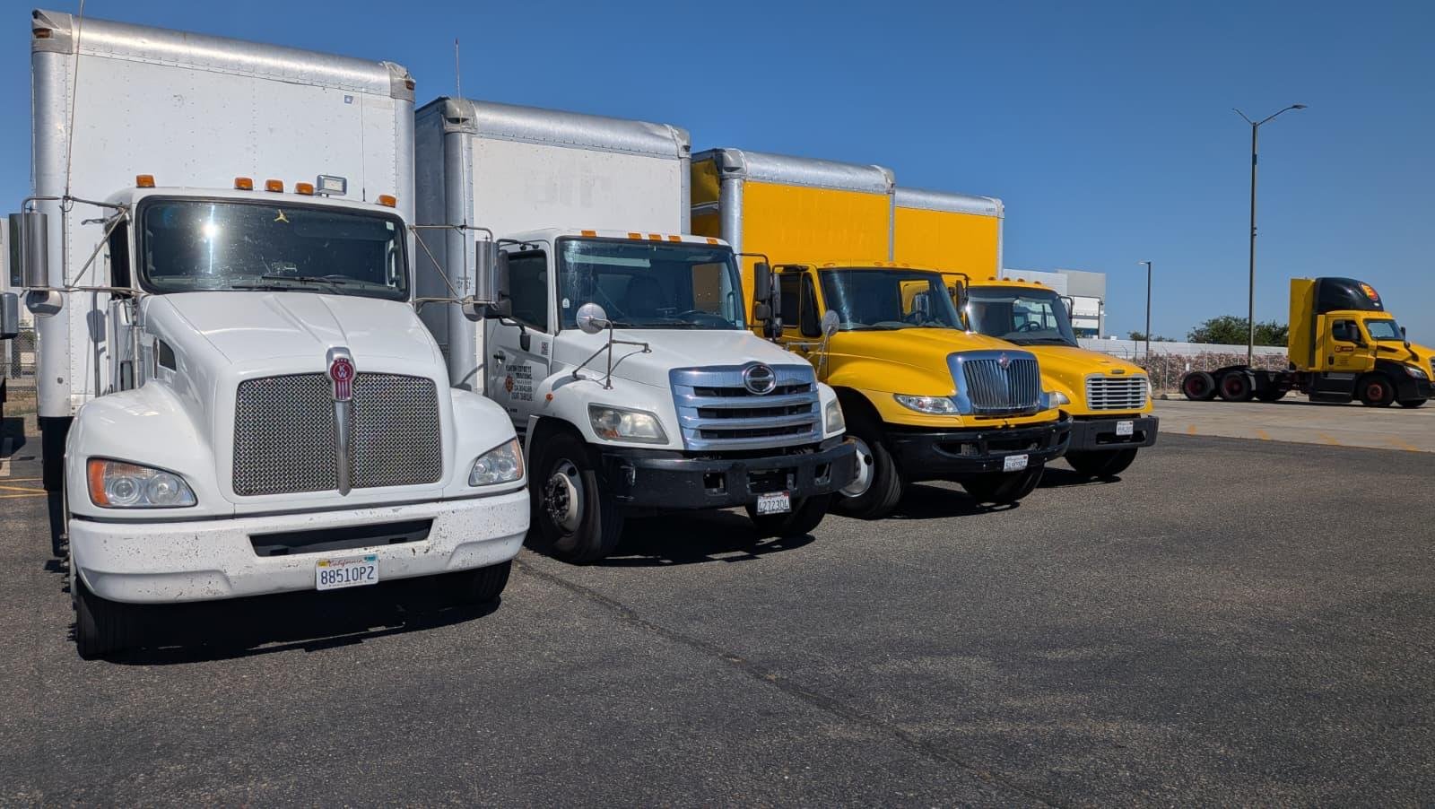 Cancun Express Fleet Lineup